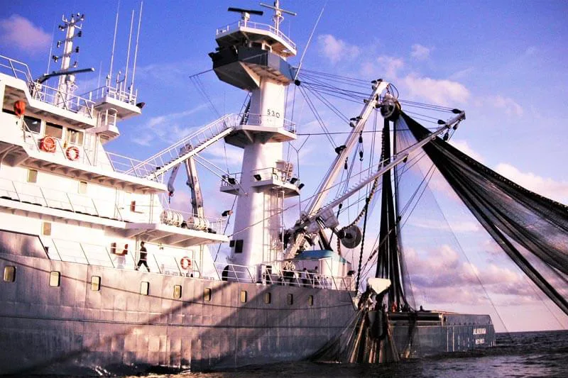 Fishing trawl, fixed net, reel net