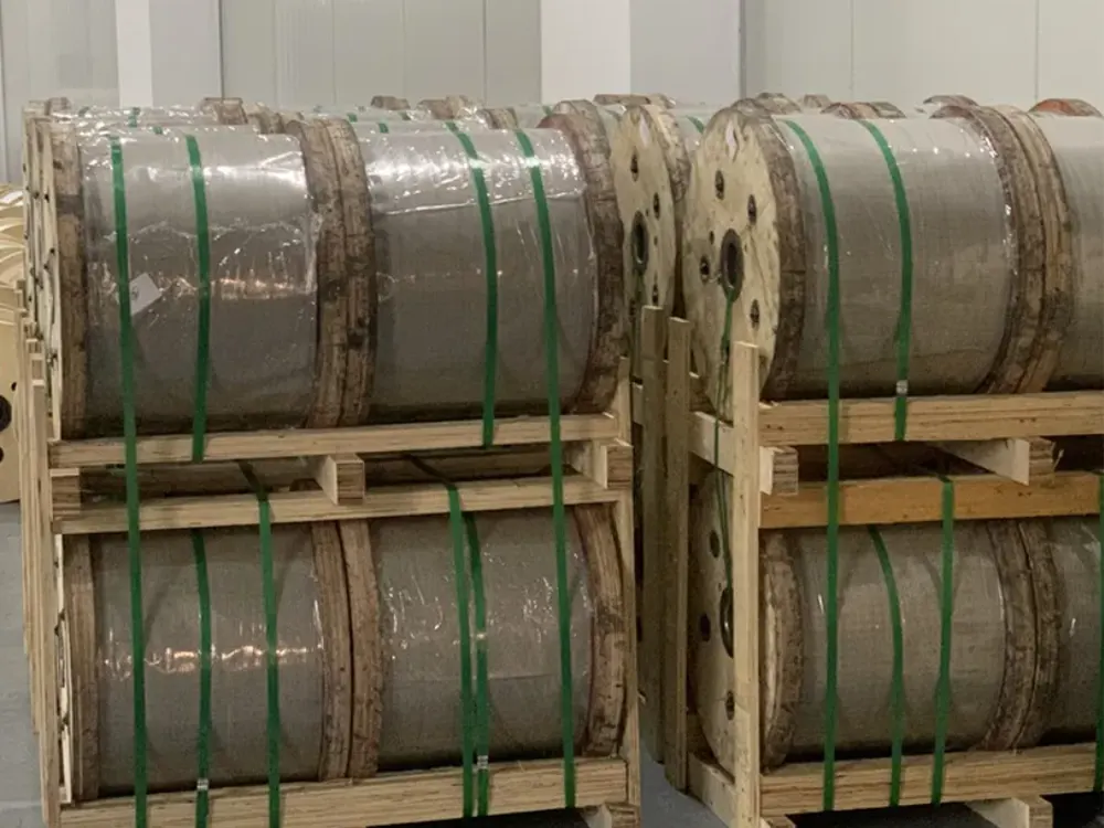 Galvanized Steel Wire Packaging 2
